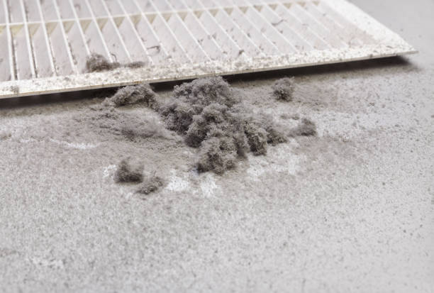 Best Air Duct Cleaning Near Me  in Scobey, MT