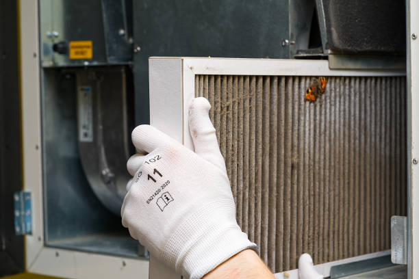Best Professional Duct Cleaning Services  in Scobey, MT